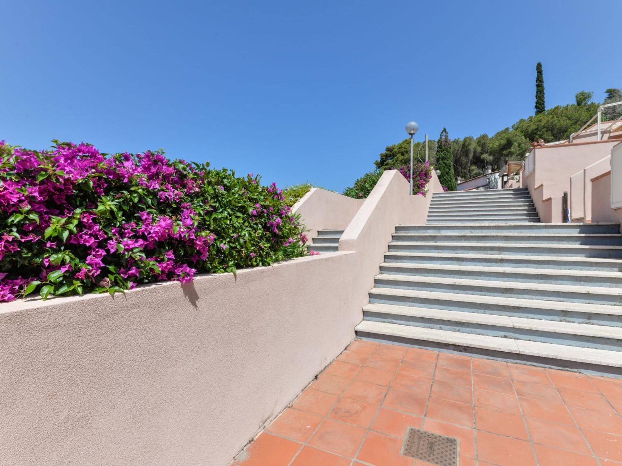 Nisporto Apartment Cala Rossa-1 By Interhome מראה חיצוני תמונה